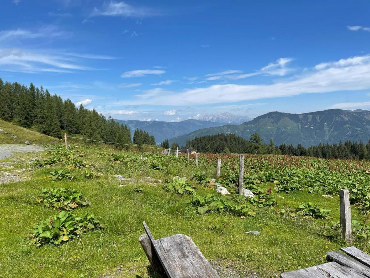 Haus Voglreiter - Inkl Sommerkarte, Zentrale Und Ruhige Lage, Garten Mit Spielplatz Kaprun Exterior foto