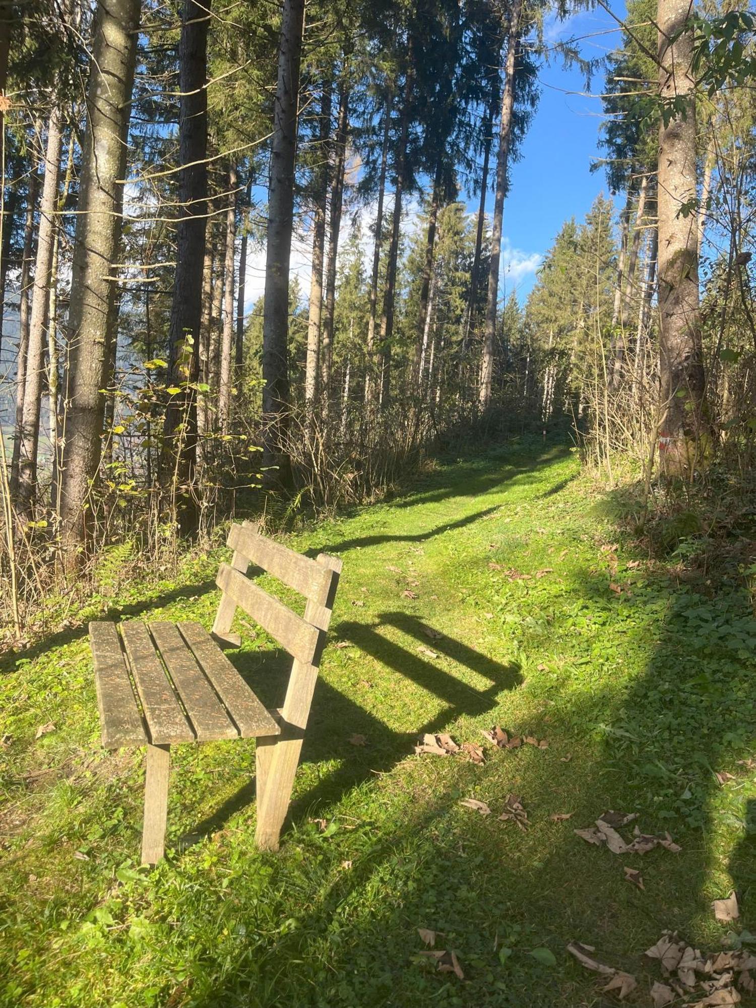 Haus Voglreiter - Inkl Sommerkarte, Zentrale Und Ruhige Lage, Garten Mit Spielplatz Kaprun Exterior foto
